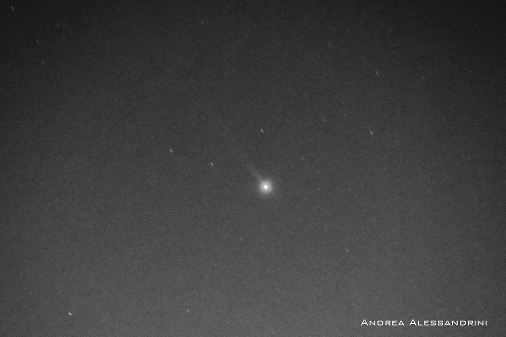 Mercury's Sodium Tail