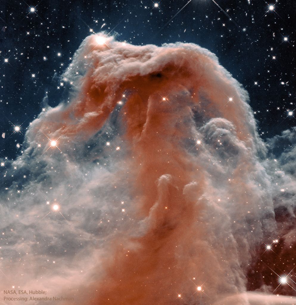 La Nébuleuse de la Tête de Cheval dans l'infrarouge par Hubble