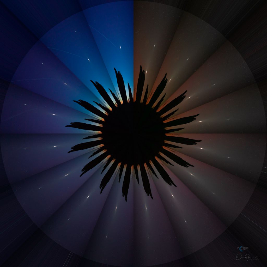 Twilight in a Flower