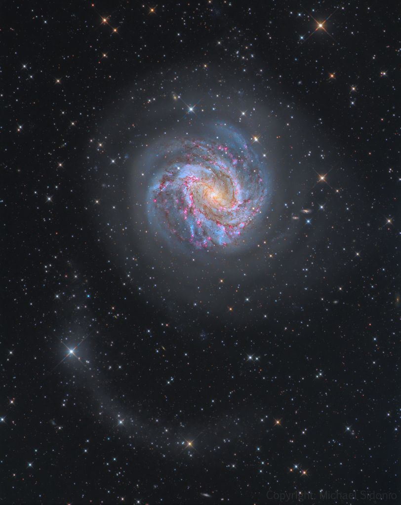 M83: flux d'étoiles et mille Rubis