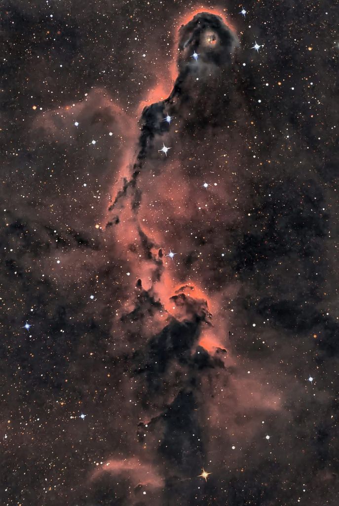 The Elephant's Trunk in Cepheus