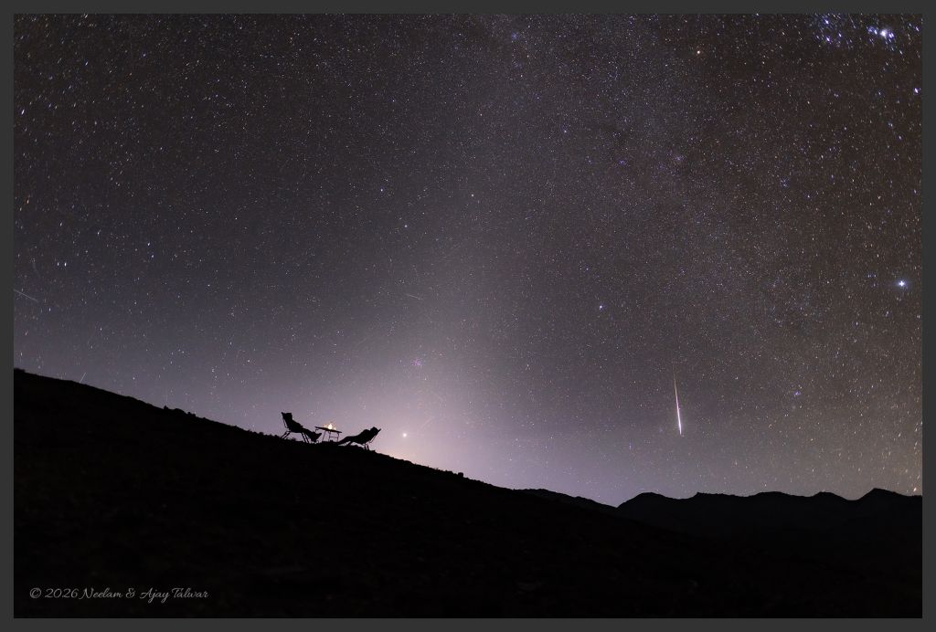 A Zodiacal Night