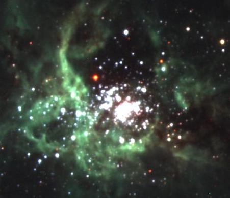 Tarantula