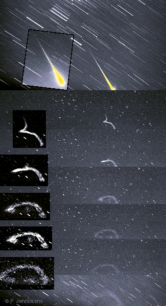 The Leonid Meteor Shower