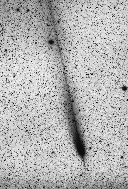 Hale-Bopp: A Continuing Tail
