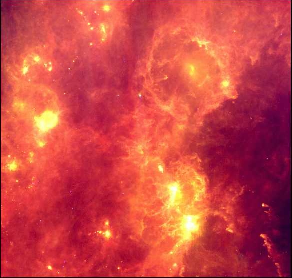 IRAS Orion
