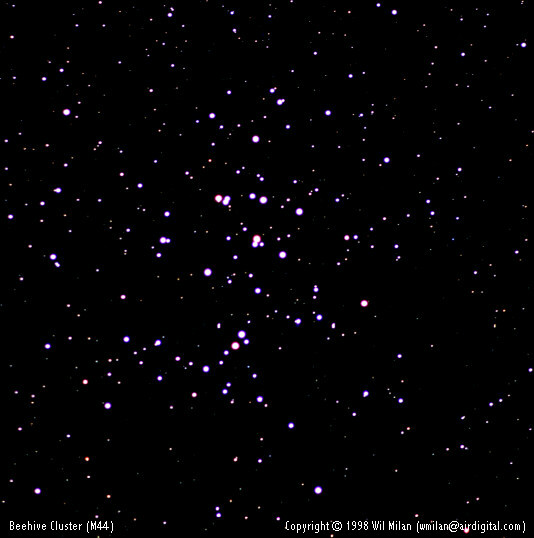 M44: A Beehive of Stars