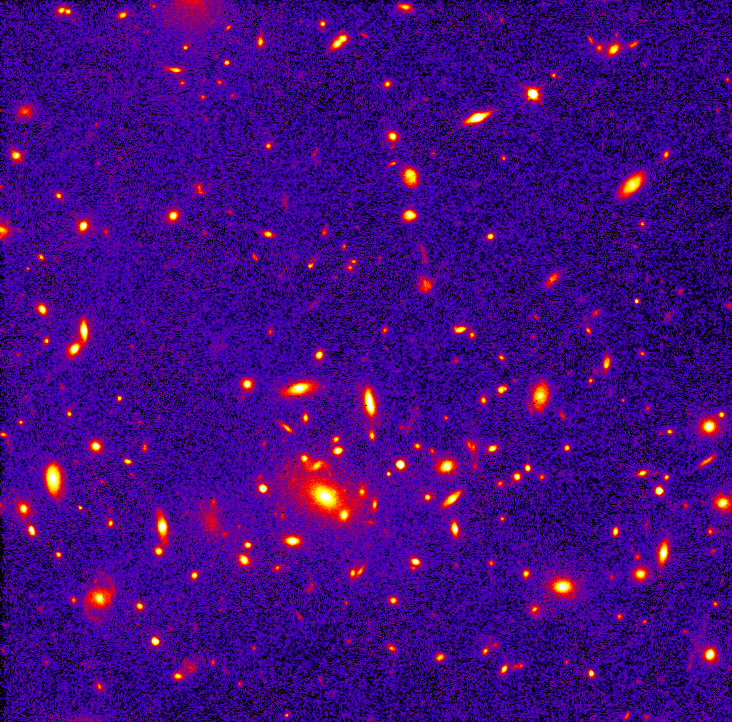 A Massive Cluster In A Young Universe