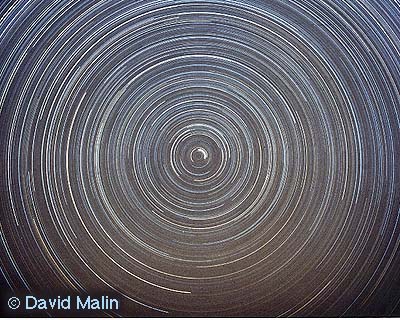 Star Trails in Northern Skies