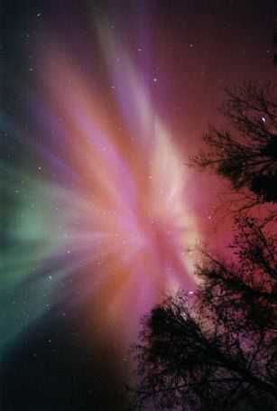Aurora Above