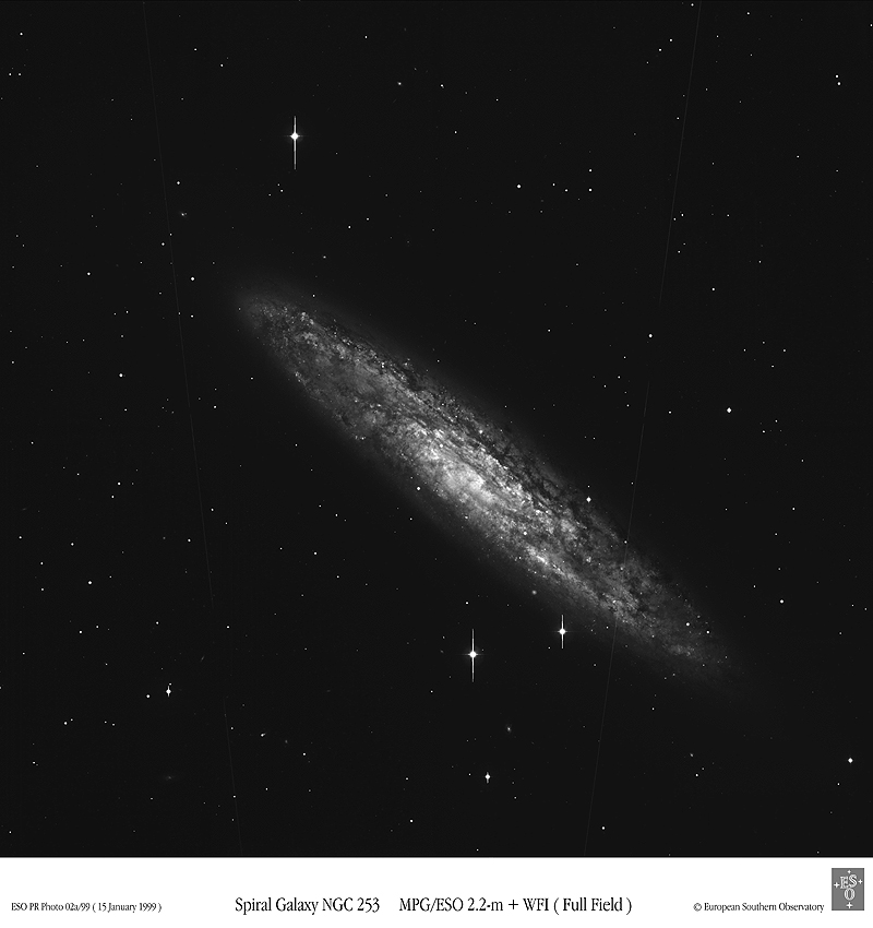 Spiral Galaxy NGC 253
