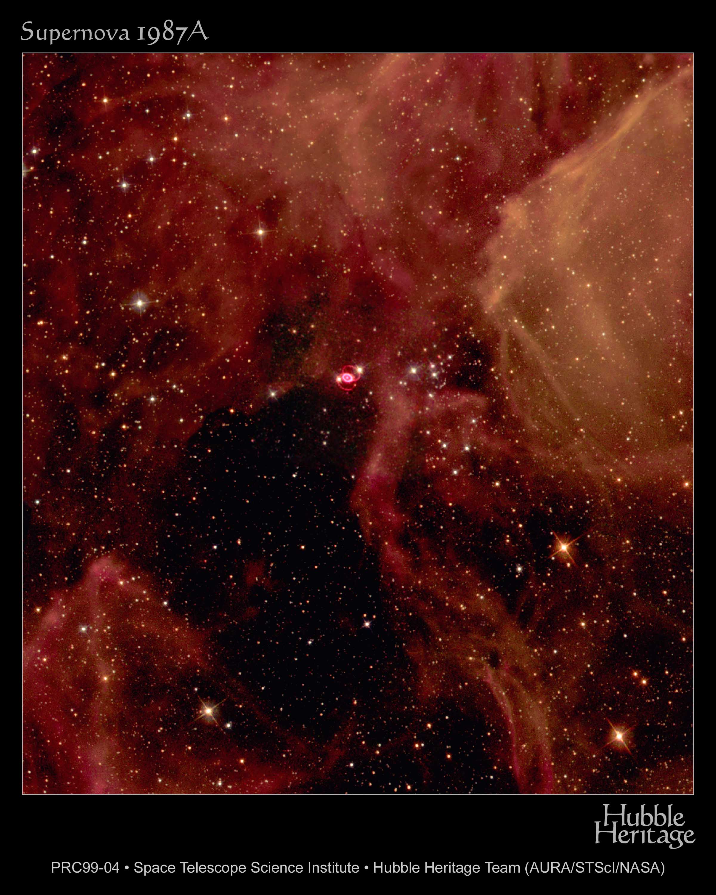 A Supernova Star-Field