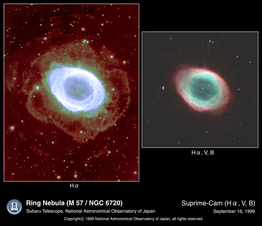 Halos Around the Ring Nebula